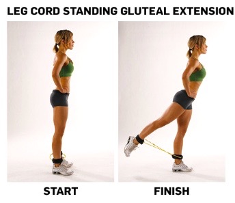 Legcord glute extension
