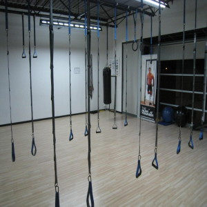 The Human Trainer Suspension Gym Education Facility requirements