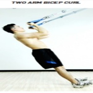 The Human Trainer 2 Arm Bicep Curl