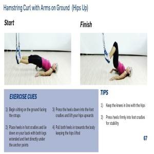 The Human Trainer Hamstring curl is a great postural leg exercise that builds strength in the back of the legs.