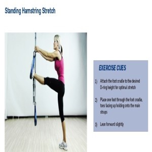 The Human Trainer Standing Hamstring Stretch builds balance and flexibility to help prevent injuries.