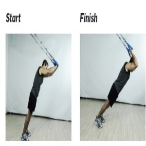 The Human Trainer Tricep Press targets the back of the arms to build a strong lean upper body.