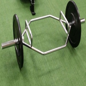 Bumper Plates are the optimal accessory weight to be attached to Hex Bars and Flat Bars to build strength and conditioning.