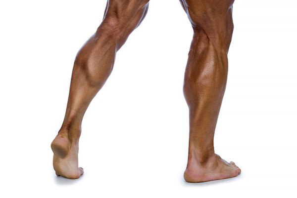 Top 7 Reasons You Aren't Gaining Leg Muscle | The Human Trainer